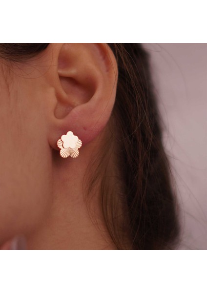 Yıldız Parıltı Küpe fiyatları