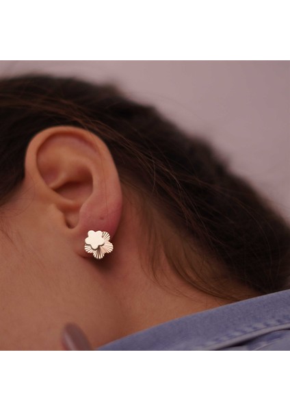 Yıldız Parıltı Küpe fırsatları