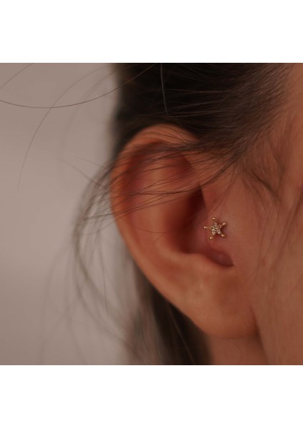 Yıldız Tragus fiyatları