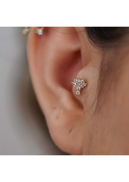 Taşlı Tragus fiyatları