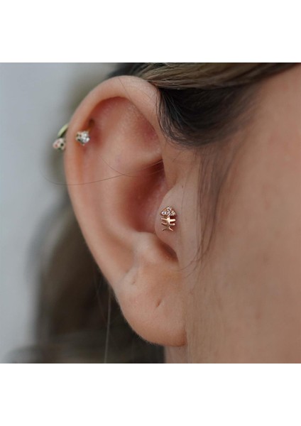 Kılçık Tragus