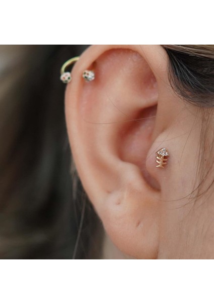 Kılçık Tragus modelleri