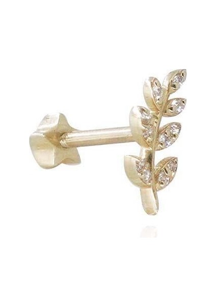 Doğa Piercing
