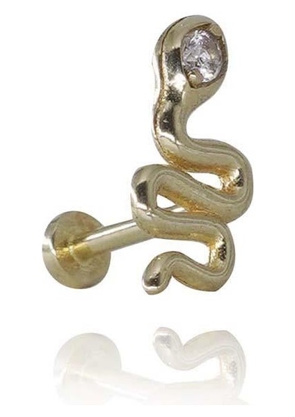 Yılan Piercing
