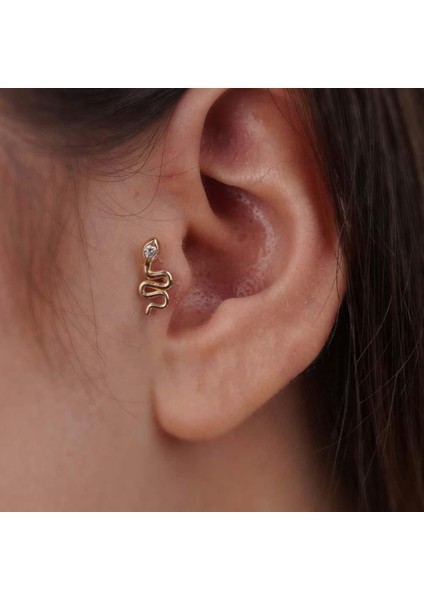 Yılan Piercing fiyatları
