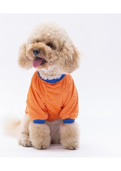 Turuncu Everything Kedi Köpek Sweati fiyatları