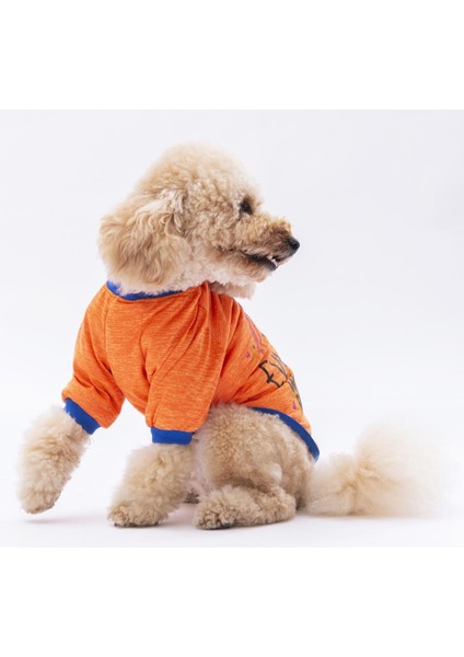 Turuncu Everything Kedi Köpek Sweati modelleri
