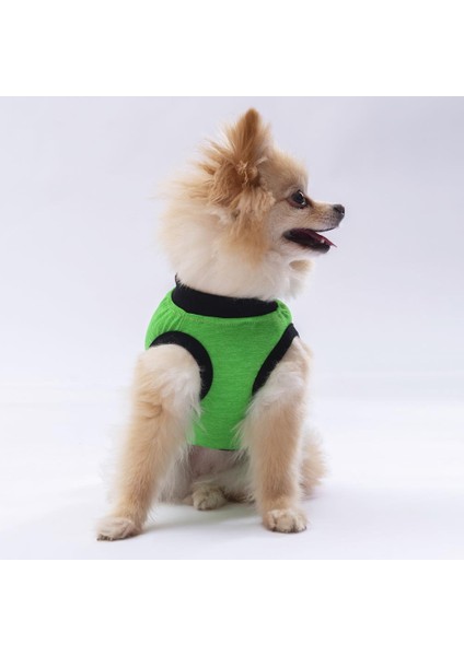 Yeşil Travel Kedi Köpek Tişörtü fiyatları