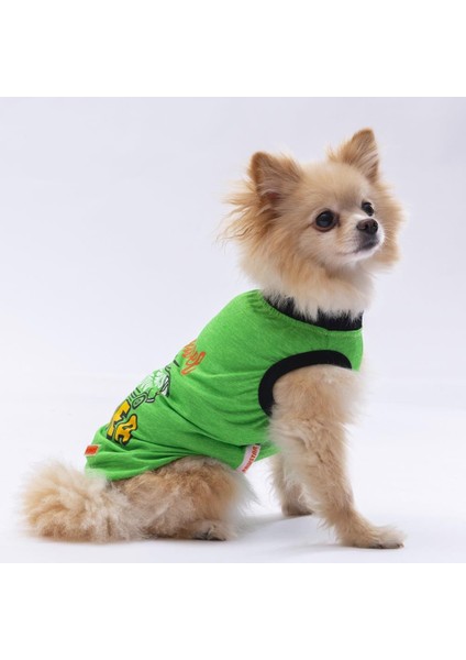 Yeşil Travel Kedi Köpek Tişörtü modelleri