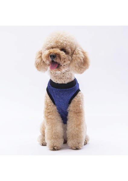 Lacivert Travel Kedi Köpek Tişörtü fiyatları