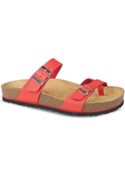 Kadın Terlik 9910-Z34 (35-42)