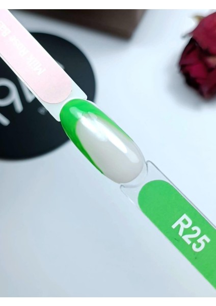 Paint Gel R25 fiyatları