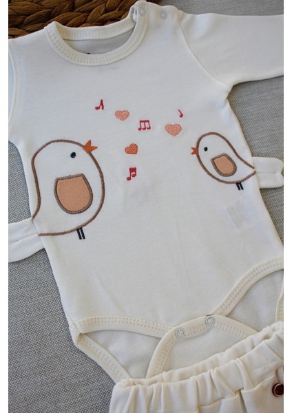 3-6 6-9 9-12 Ay Şarkıcı Kuşlar Nakışlı Bandanalı Uzun Kollu Zıbınlı 3lü Kız Bebek Takımı fiyatları