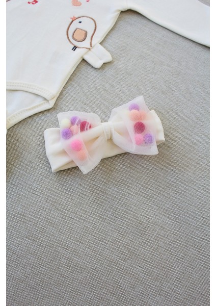 3-6 6-9 9-12 Ay Şarkıcı Kuşlar Nakışlı Bandanalı Uzun Kollu Zıbınlı 3lü Kız Bebek Takımı fırsatları