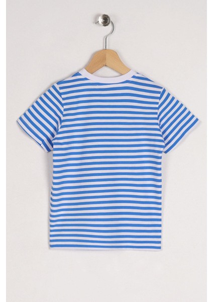Bisiklet Yaka Kısa Kol Çizgili Indigo Renk Tshirt fiyatları