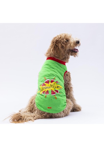 Yeşil Summer Time Büyük Köpek Tişörtü 15 kg 45 kg