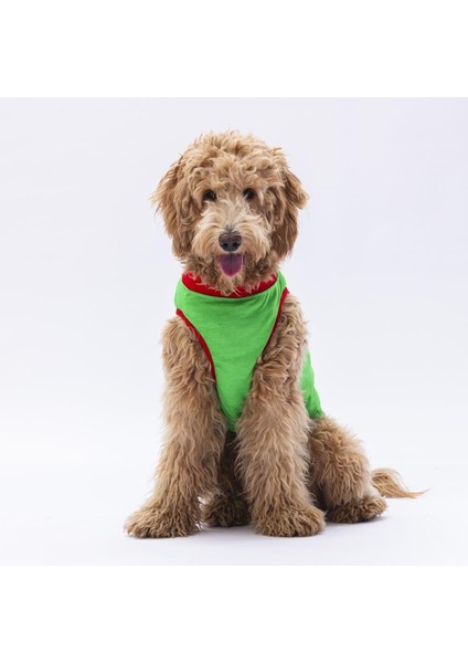 Yeşil Summer Time Büyük Köpek Tişörtü 15 kg 45 kg fiyatları