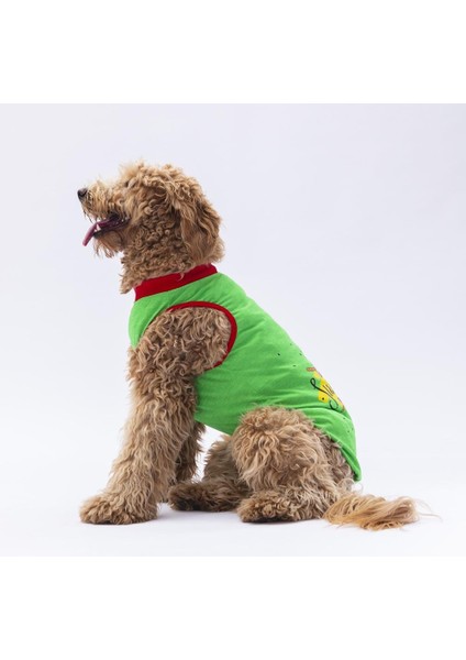 Yeşil Summer Time Büyük Köpek Tişörtü 15 kg 45 kg modelleri