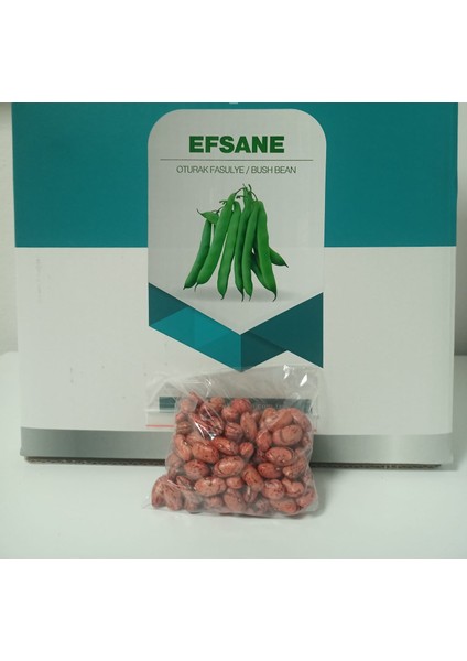 (Oturak) Efsane Fasulye Tohumu 100 gr