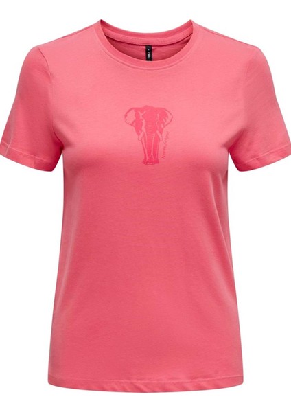 Only Onlbess Life Reg S/S Anımal Top Box Jrs.15189628