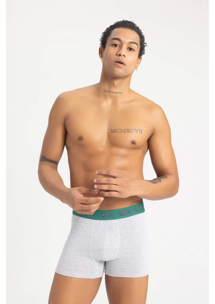 Regular Fit 3'lü Boxer B0582AX23AU