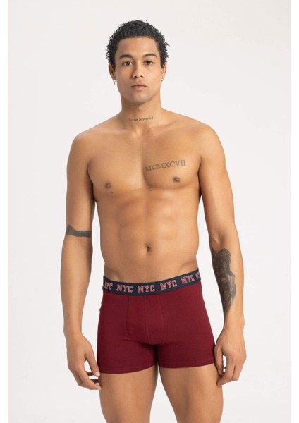 Regular Fit 3'lü Boxer B0582AX23AU