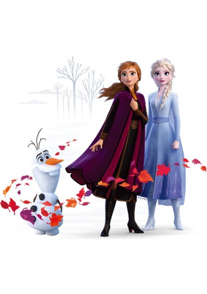 No.4 Stili Canlı Karikatür Dondurulmuş Duvar Çıkartmaları Çocuk Odası Yatak Odası Dıy Duvar Dekorasyon Çıkartmaları 3D Anna Prenses Film Afişleri (Yurt Dışından)