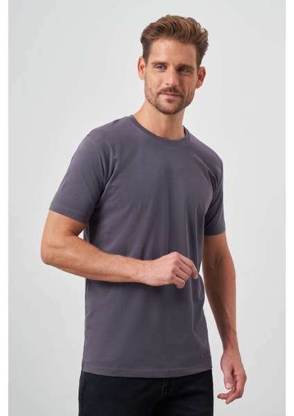 Erkek Füme Basic Bisiklet Yaka Dynamic Fit T-Shirt