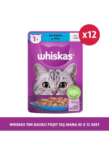 Ton Balıklı Poşet Yaş Mama 85 G 12X