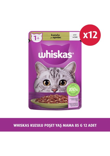 Kuzulu Poşet Yaş Mama 85 G 12X