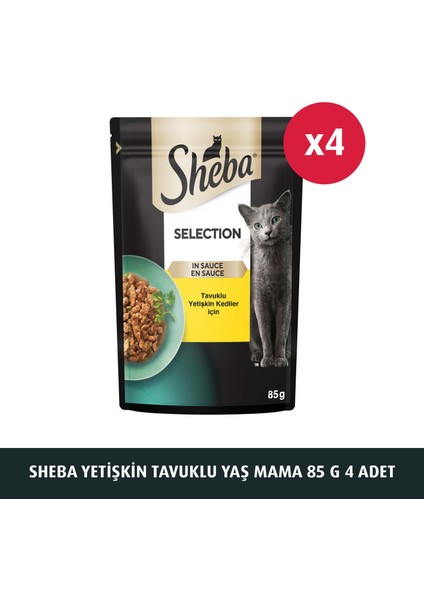 Tavuklu Poşet Yaş Mama 85 G 4x