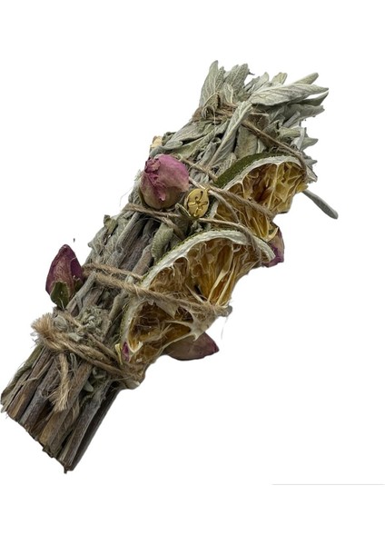 Balık Burcu Bitkisel Tütsü Demeti fiyatları