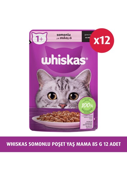 Somonlu Poşet Yaş Mama 85 gr 12 Adet