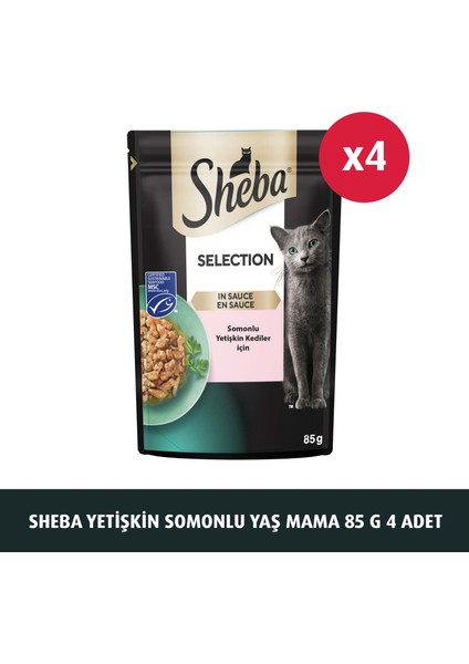 Somonlu Poşet Yaş Mama 85 G 4x