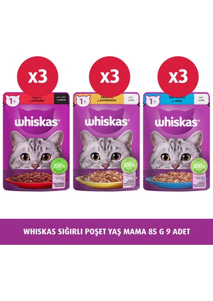 Sığırlı Poşet Yaş Mama 85 G 9x