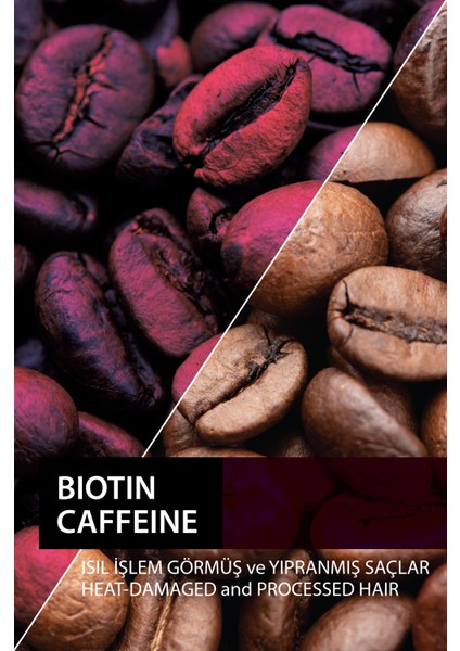 Biotin Ve Kafein Şampuanı * Işıl Işlem Görmüş Yıpranmış Saçlar400 Ml fiyatları