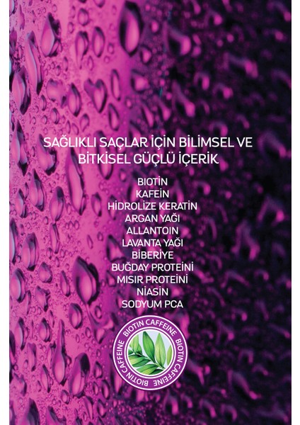 Biotin Ve Kafein Şampuanı * Işıl Işlem Görmüş Yıpranmış Saçlar400 Ml modelleri