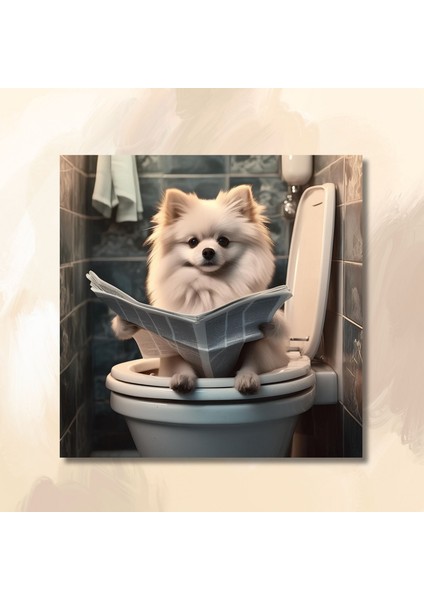 Tekli Kare Kanvas Banyo Tablosu Gazete Okuyan Krem Pomeranian modelleri