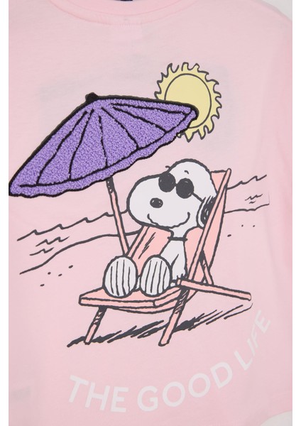 21974 Snoopy 2 Li Takım