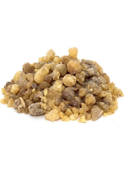 250 gr Akgünlük Saksızı Sığla Ağacı Özü Ak Günlük 250 G