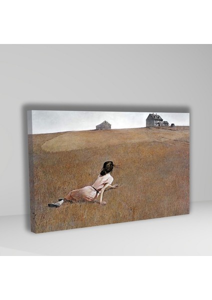 Tekli Yatay Kanvas Duvar Tablosu Andrew Wyeth Christina'nın Dünyası fiyatları