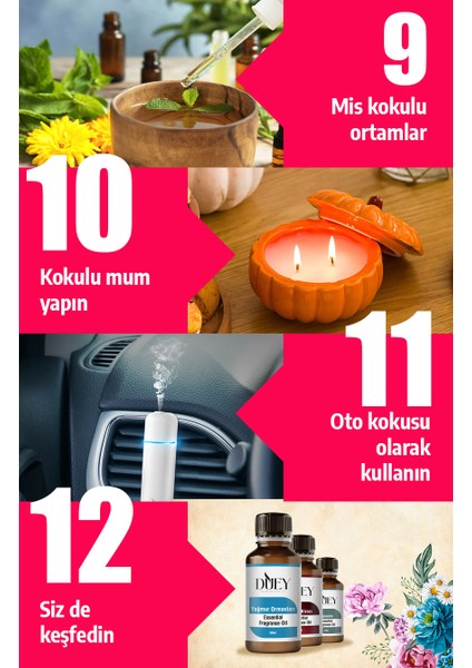 Zencefil Uçucu Yağ Buhurdanlık Yağı Difüzör Esansı Oda Kokusu Esansı Hava Nemlendirici Esans