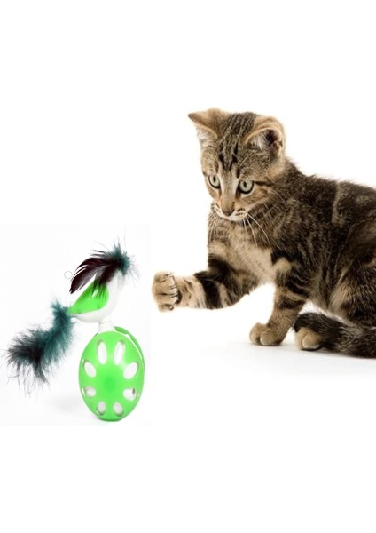 Tekerlekli Hacıyatmaz Kuş Kedi Oyuncağı 1 Adet fiyatları