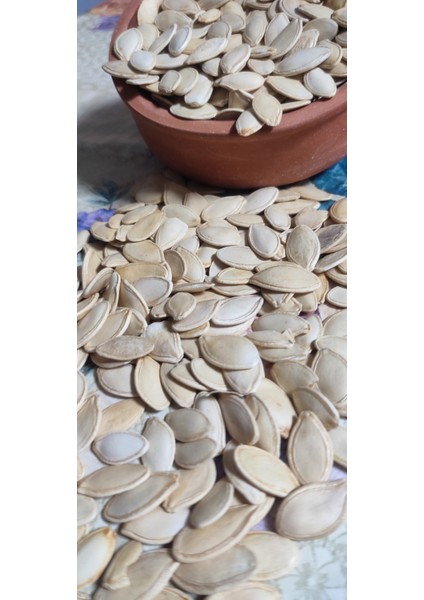 Tuzsuz Topak Nevşehir Kabak Çekirdeği modelleri