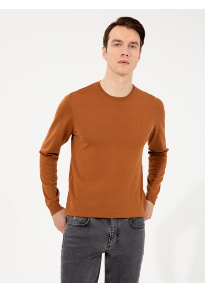 Erkek Tarçın Kazak /triko 50257398-VR191