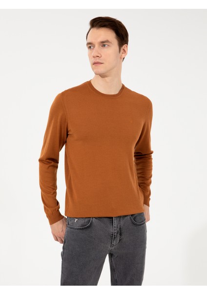 Erkek Tarçın Kazak /triko 50257398-VR191