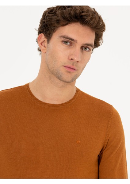 Erkek Tarçın Slim Fit Bisiklet Yaka Basic Triko Kazak 50237038-VR191 fiyatları