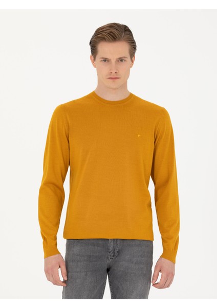 Erkek Sarı Slim Fit Bisiklet Yaka Triko Kazak 50270174-VR044