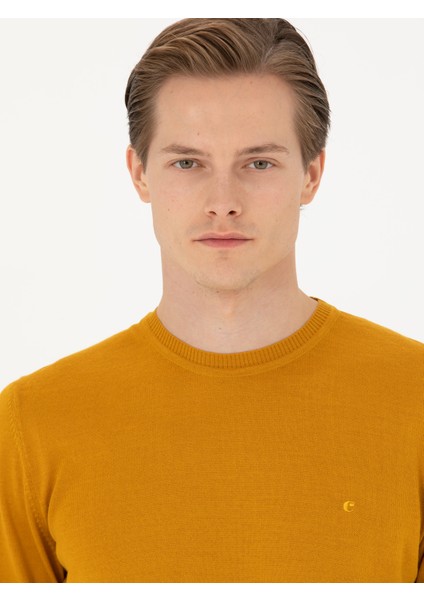 Erkek Sarı Slim Fit Bisiklet Yaka Triko Kazak 50270174-VR044