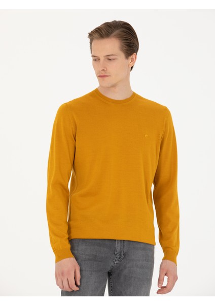 Erkek Sarı Slim Fit Bisiklet Yaka Triko Kazak 50270174-VR044
